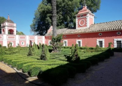 Mantenimiento Jardín de Moratalla Assista vista exterior 3