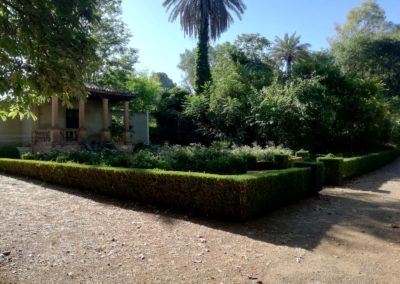 Mantenimiento Jardín de Moratalla Assista vista exterior 4